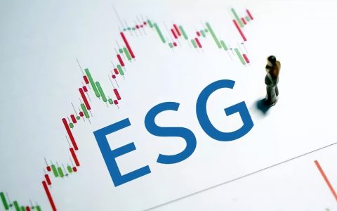 esg跨境电商企业如何应对海外ESG风险