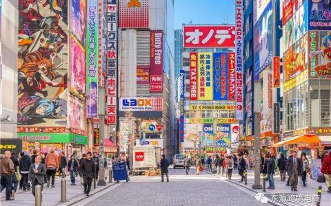 日本亚马逊代购平台([精华]2022已更新)日本跨境电商