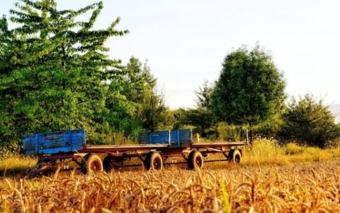 农村致富养殖项目，养殖什么可以挣钱？
